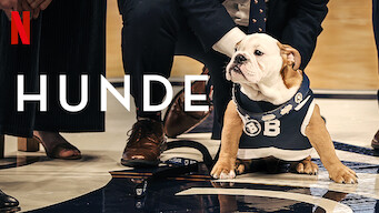 Hunde (2021)